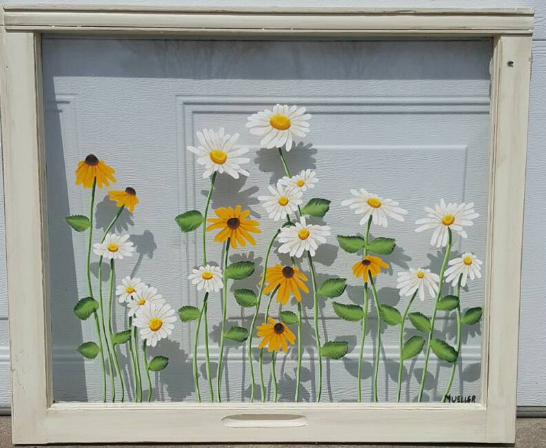 Daisy_and_Susans_op_792x650