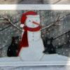 "Beary Scared"
Price, USD: $85.00
Size (inches): 27w x 18 1/2h
Status: SOLD
Media: Paint on Glass
NOTE: This snowman can't stand still enough with two cubs tugging at him from every direction.
