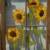 "Sunflowers"
Price, USD:
Status: SOLD
Size (inches): 28 1/2h x 21 1/2w
Media: Paint on Glass
NOTE: