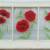 "Red Poppys II"
Price, USD: 
Status: SOLD
Size (inches): 17"h x 30"w
Media: Paint on Glass